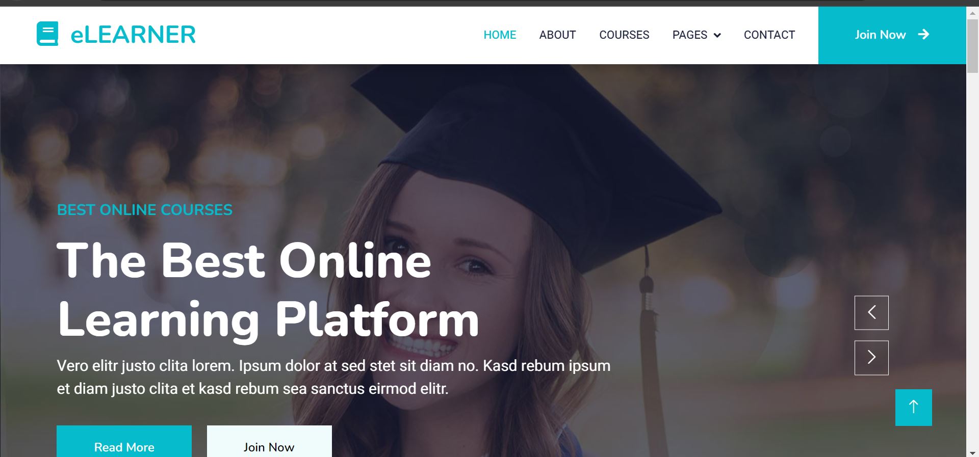 Website design