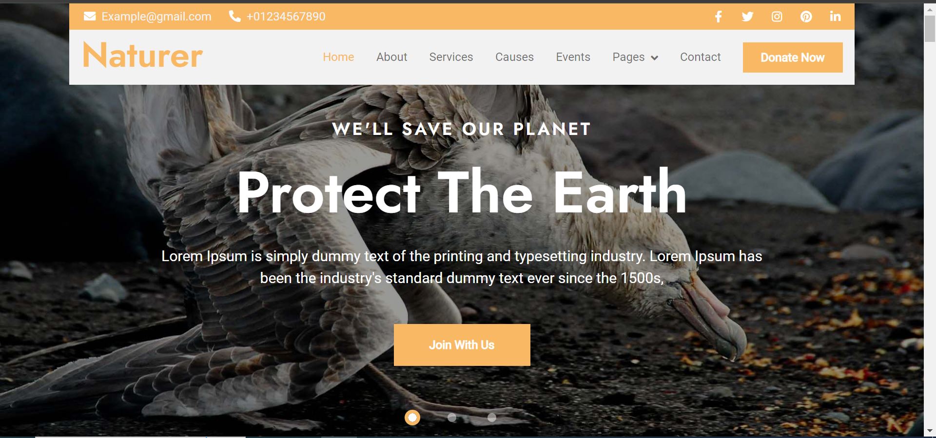 Website design